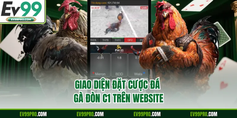 Giao diện đặt cược đá gà đòn C1 trên website 